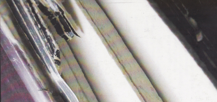 Espaces inédits: les nouveaux avatars du livre